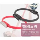 근력 강화 필라테스 이미지