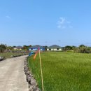 제주동마트 이미지
