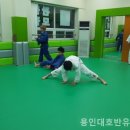 용인대유도관 네이버블로그