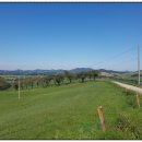 삼화민박 이미지