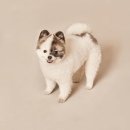 생활 영어(기초) 이미지