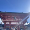 [오사카 여행] 교토 버스투어 &#39;인디고 트래블&#39; 후기_ 교토여행 | 타이쇼 하나나(24년3월)