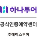 하나에이스투어
