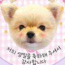 통일로 799번길 이미지