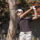 하이트퀸 이미지