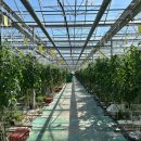 수열농장 이미지