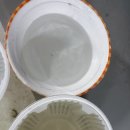 백균약품 이미지