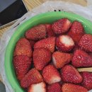 동물원 화장실 이미지