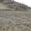 덕산면043 Daum카페