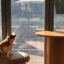 대가야박물관 야외화장실 | 고령 대가야박물관 카페 대구 근교 나들이 고도520