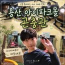 박사몰 | 용산 아이파크몰 곤충관 입장료와 체험 후기, 아이와 가볼만한곳