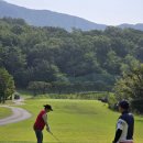 승학골프연습장 이미지