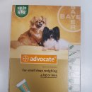 동광주약국 이미지