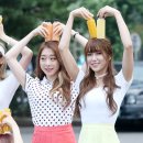 다원 이미지
