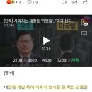 깔끔하개 이미지