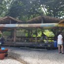 언제나방목닭민박 이미지