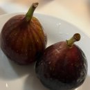 용언농장 이미지