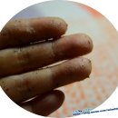 나우팜 | 밀싹진공팩, 밀싹팩으로 아름다워지는 이야기