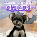 (주)스타몽 이미지