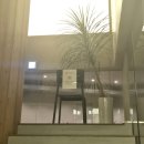 더웨이닝커피 사천점 | [경남 사천] 더웨이닝커피 사천월성점 - 숨은 요거트아이스크림 맛집 인정 ! 싼다 염소가 있는 카페 🐐🎅