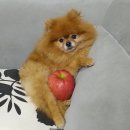 류가농장 이미지