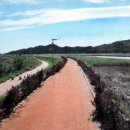 태백산맥거리1 이미지