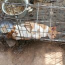 하늘소리목장 이미지