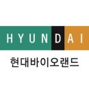 현대양행