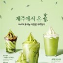 폴바셋투고바파라다이스시티점