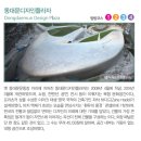 광희문 달빛로드 이미지