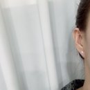 와사비네코 | 이혈테라피 귀지압패치 이침 와사비네코 크리스탈 솔직 후기✨