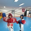 석사하나태권도 이미지