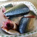 고등어아가씨 이미지