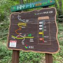용궐산자연휴양림 이미지