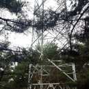 팔공산녹색길 숲길 3코스 이미지