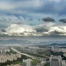 강남블루부동산중개사무소 이미지