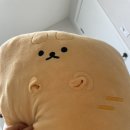 하나병원 | 임신 20주 21주 22주 배뭉침 배통증 입덧 태동 증상 병원 가야하나 고민했던 리얼후기