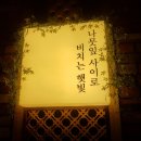 코모레비 이미지