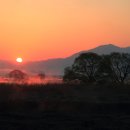 창녕 우포늪 이미지