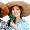 선영농장 이미지