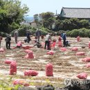 동원직업소개소 - 남양주시 금곡로 1 | 동원직업소개소