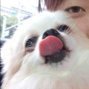 24시 더나은 동물메디컬 센터 이미지