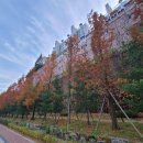 기흥로 116번 이미지