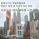 쌍둥이빌딩 | 말레이시아 쿠알라룸푸르 쌍둥이빌딩 뷰 숙소 추천 포포인츠 바이 쉐라톤 시티센터