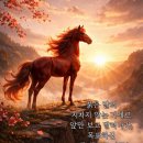 사즐모 음악방 친목 모임및 발전 기금모임을 ..2026.01.18.일 청사초롱 에서 진행 합니다. 많은 참여 바랍니다... 이미지