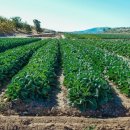 서울행정사 이미지