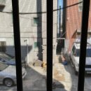천사들의 목간 | 집-회사만 한 자의 쓸쓸한 코로나 확진 후기...