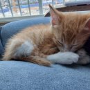 학익동물병원 이미지