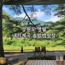 [강원도 영월] 한 여름에도 시원한 내리계곡솔밭캠핑장 (솔밭동 3번)