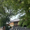 카페 연(CAFE Yeon) | 김포 한옥 카페 ㅣ 케어키즈존 ㅣ 카페연
